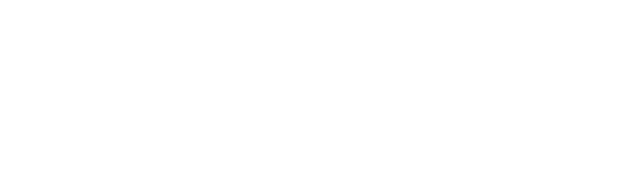 Maler Software